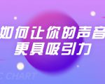 刘琪·如何让你的声音更具吸引力（20节课-完结）-林文副业站