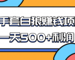 某团队收费项目：空手套白狼，一天500+利润，人人可做-林文副业站