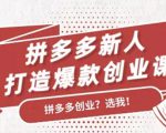 拼多多新人打造爆款创业课：快速引流持续出单，适用于所有新人-林文副业站