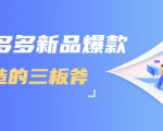 拼多多新品爆款打造的三板斧，快速提升销量+转化+点击率（视频课程）-林文副业站