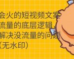只说话就会火的短视频文案课，从根本上解决没流量的问题-林文副业站