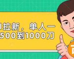 Paypal拉新赚美刀项目，单人一天利润500-1000刀【视频课程】-林文副业站