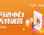 雨课·亚马逊小白特训营第9期 跨境电商挺赚钱的 有朋友已经月入几十万美金-林文副业站