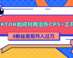 详细解析TIKTOK如何利用海外CPS+工具0粉丝轻松变现月入过万-林文副业站