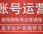 短视频账号运营课程：从话术到短视频运营再到直播带货全流程，新人快速入门-林文副业站
