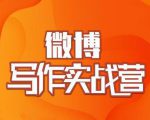 村西边老王·微博超级写作实战营，帮助你粉丝猛涨价值999元-林文副业站