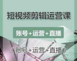 南小北短视频剪辑运营课：账号+运营+直播，零基础学习手机剪辑【视频课程】-林文副业站