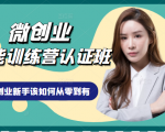 微创业全能训练营认证班课程，从理论知识与实际案例手把手指导创业新手如何从零到有-林文副业站