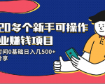 20多个新手可操作的副业赚钱项目：业余时间0基础日入几500+实操分享-林文副业站