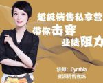 有料识堂·超级销售私享课，解密顶级销售的套路打法助你升级销冠-林文副业站
