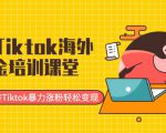 最新Tiktok海外掘金培训课堂：带你玩转Tiktok暴力涨粉轻松变现-林文副业站