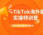TikTok海外掘金实操特训营：手把手教运营变现赚钱-林文副业站