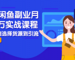 2021闲鱼副业月入过万实战课程：从开店到选择货源到引流，全程实战教学-林文副业站