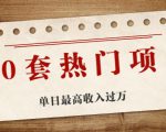 30套热门项目：单日最高收入过万 (网赚项目、朋友圈、涨粉套路、抖音、快手)等-林文副业站