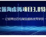 黄岛主·淘宝蓝海虚拟项目3.0，小白宝妈零基础的都可以做到月入过万-林文副业站