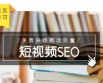 未来新趋势，布局短视频SEO，如何利用抖音SEO免费获得精准流量（3节课）-林文副业站