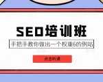 SEO培训班课程，手把手教你做出一个权重6的例站，价值8000元-林文副业站