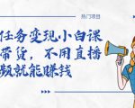 全民任务变现小白课，不用带货，不用直播，拍视频就能赚钱-林文副业站