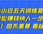 卓让闲鱼小白五天训练营，每天一小时，轻松赚钱快人一步-林文副业站