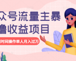 公众号流量主暴利撸收益项目，空闲时间操作单人月入过万-林文副业站