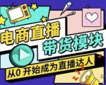 大鹏·电商直播带货课，系统学习直播带货各环节技巧和套路-林文副业站