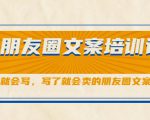 朋友圈文案培训课，听了就会写，写了就会卖的朋友圈文案课-林文副业站