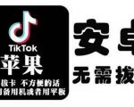 tiktok海外版短视频操作教程(苹果/安卓)，帮助国内也能刷海外版抖音-林文副业站