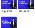湛北·抖音小店入门进阶高阶合集，八大玩法打造百万店铺-林文副业站