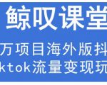 鲸叹号·海外TIKTOK训练营，百万项目海外版抖音tiktok流量变现玩法-林文副业站