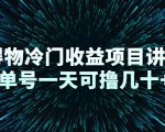 得物冷门收益项目讲解，单号一天可撸几十+-林文副业站
