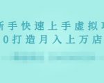 2022年虚拟项目实战指南，新手从0打造月入上万店铺-林文副业站