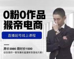 猴帝电商直播起号课，零粉零作品开播底层逻辑，直播五天打爆广场流量-林文副业站