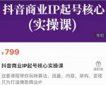 抖音商业IP起号核心实操课，带你玩转算法，流量，内容，架构，变现-林文副业站