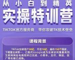 Seven漆·2022Tiktok从小白到精英实操特训营，带你掌握Tiktok账号运营-林文副业站