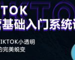 Tiktok实操进阶课程，体验从tiktok小透明到大佬的完美蜕变-林文副业站