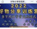 萌飞好物·2022抖音好物分享训练营，当下风口带货变现模式，从入门到精通-林文副业站