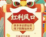 左右电商拼多多无货源店群玩法：从0~1，36节实战保姆教程，​极速起店必出单-林文副业站