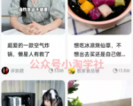 京东视频带货项目分享，发视频就能操作赚钱-林文副业站
