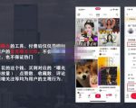麦子互娱短视频带货·0基础做好物分享账号，无需出镜无需货源无需拍摄-林文副业站