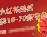 视频号小红书抖音挂机项目，小白无脑操作，按照要求来，单号每天几十米-林文副业站
