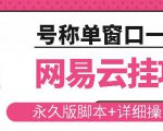 网易云挂机项目云梯挂机计划，永久版脚本+详细操作视频-林文副业站