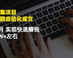 虚拟图集项目：矩阵站群自动化成交，3-5个月实现快速赚钱月入1W+左右-林文副业站