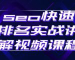 seo快速排名实战讲解视频课程，揭秘seo快排原理-林文副业站
