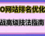 樊天华·SEO网站排名优化实战高级技法指南，让客户找到你-林文副业站