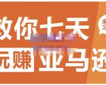 晟尧跨境·教你七天玩赚亚马逊，教你轻松玩赚亚马逊，适合小白学习-林文副业站
