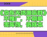 诺思星商学院京东无货源店群课：不推广，不刷单，零库存，低成本-林文副业站
