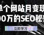 单个网站月变现100万的SEO秘密，百分百做出赚钱站点-林文副业站