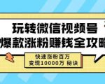 玩转微信视频号爆款涨粉赚钱全攻略，快速涨粉百万变现万元秘诀-林文副业站
