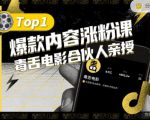 【毒舌电影合伙人亲授】抖音爆款内容涨粉课，5000万抖音大号首次披露涨粉机密-林文副业站
