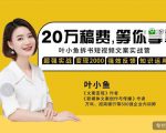 叶小鱼21天短视频文案拆书营，学完轻松搞定各类书单短视频文案-林文副业站